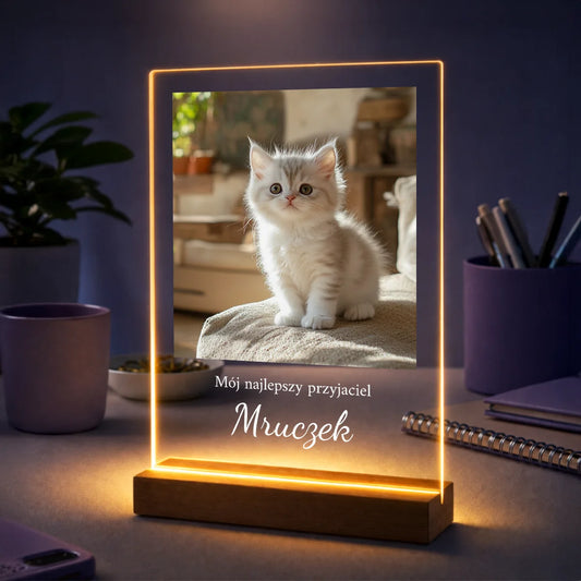 Prezent dla kociarzy na urodziny – personalizowane zdjęcie na szkle Kot