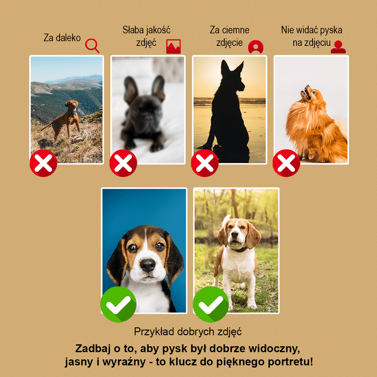 Image of Portret ukochanego pupila - obraz na płótnie z Twojego zdjęcia - Wymaluj Prezent